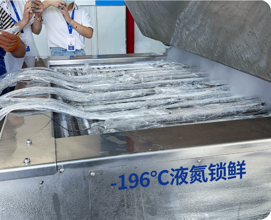 196°C 液氮锁鲜