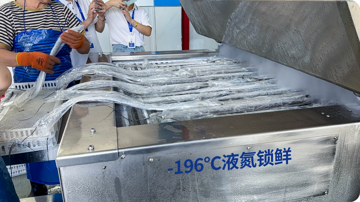 196°C 液氮锁鲜